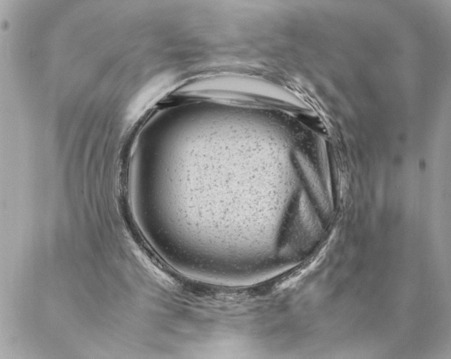 X0000088580101200706151721