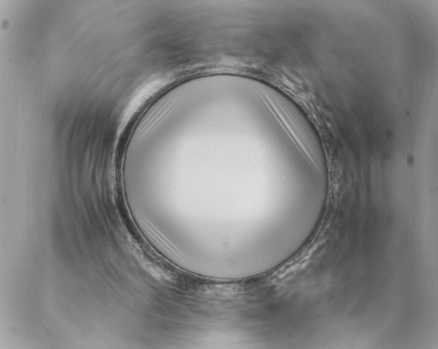 X0000088580102200706151721