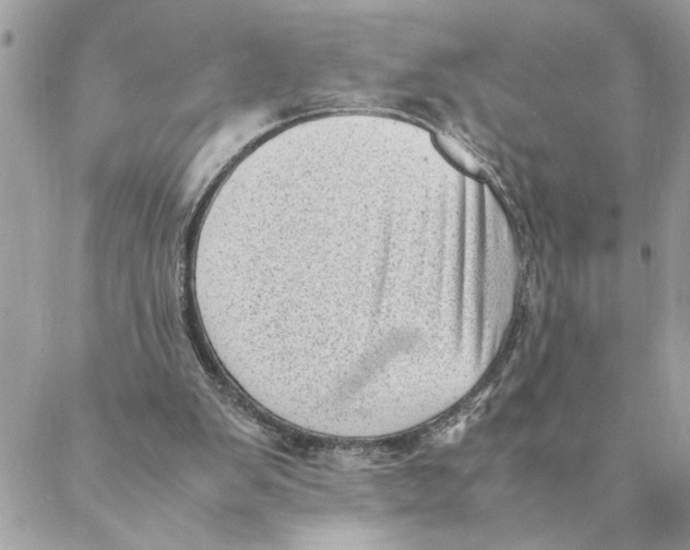 X0000088580103200706151721