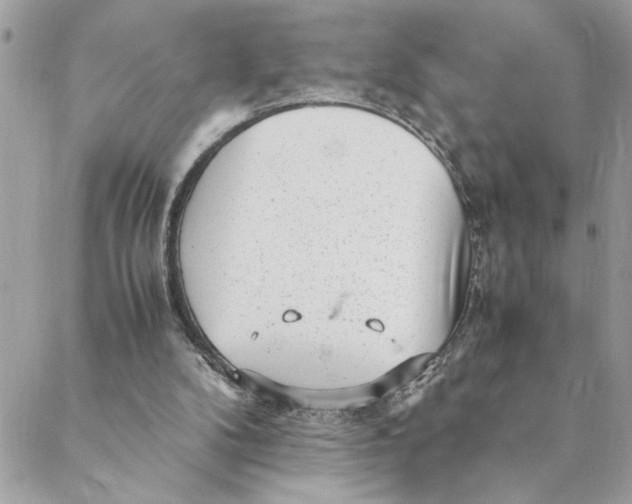 X0000088580104200706151721