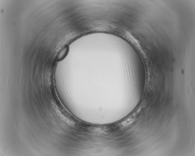 X0000088580106200706151721