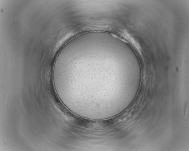 X0000088580107200706151721