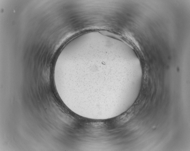 X0000088580108200706151721