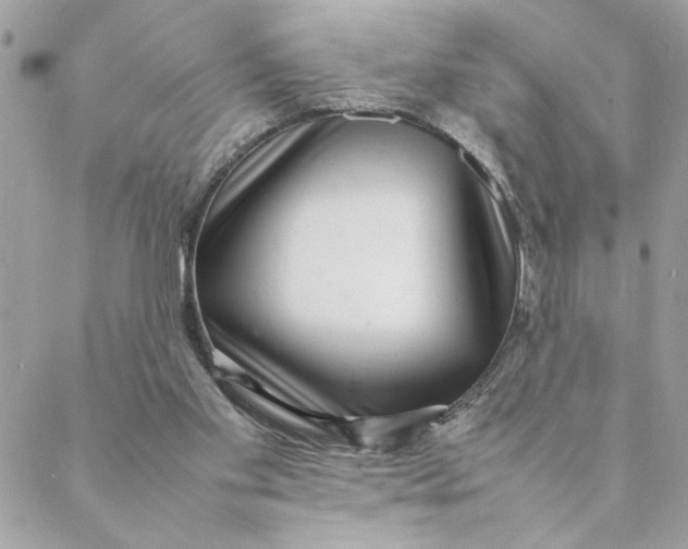 X0000088580109200706151721