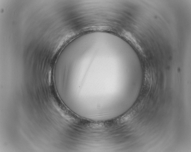 X0000088580110200706151721