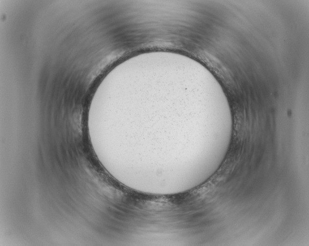 X0000088580112200706151721