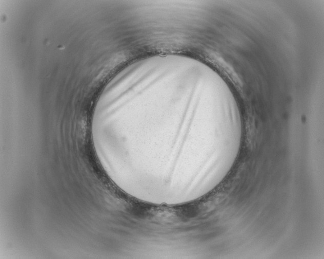 X0000088580113200706151721