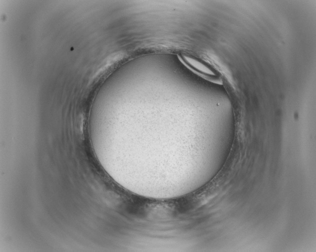 X0000088580115200706151721