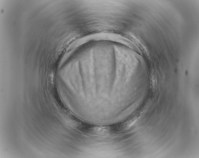 X0000088580117200706151721