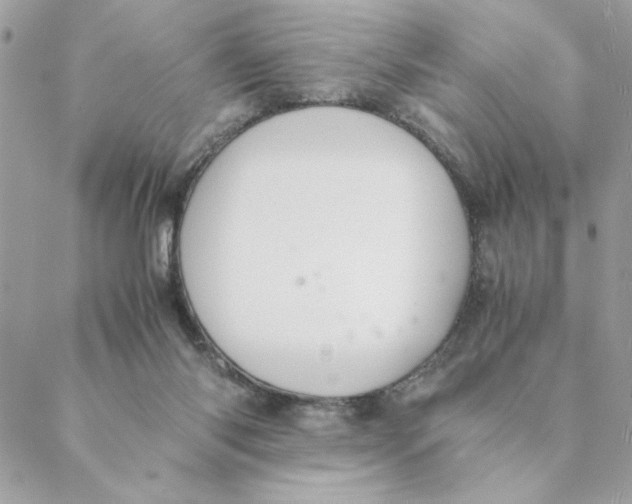 X0000088580118200706151721