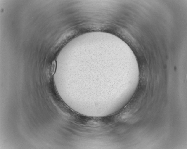 X0000088580119200706151721