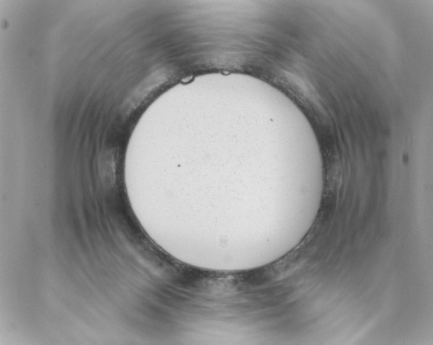 X0000088580120200706151721