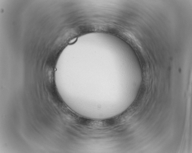 X0000088580123200706151721