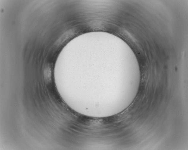 X0000088580124200706151721