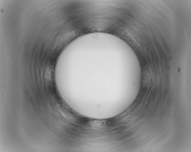 X0000088580126200706151721