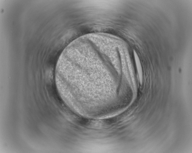 X0000088580127200706151721