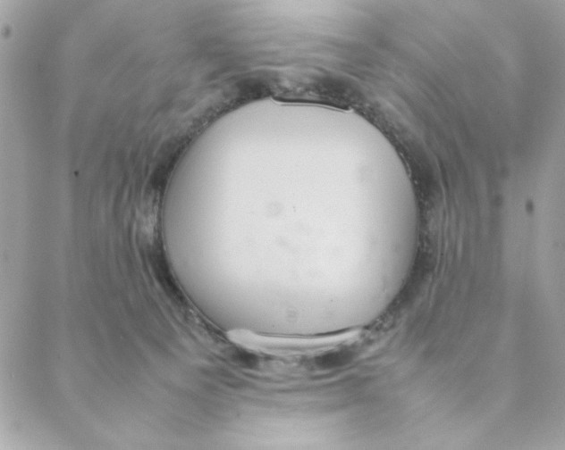 X0000088580129200706151721