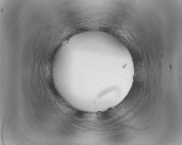 X0000088580131200706151721