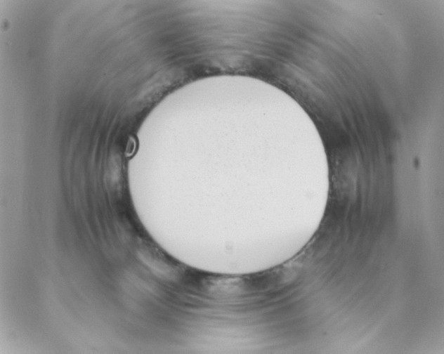 X0000088580132200706151721