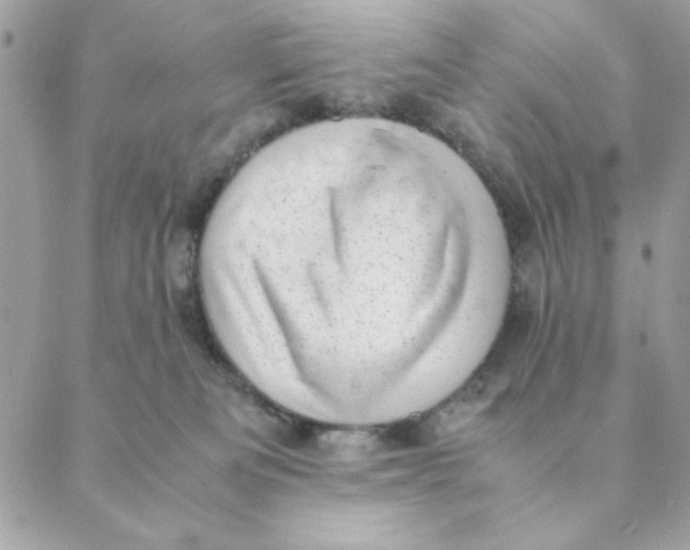 X0000088580133200706151721