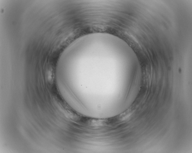 X0000088580134200706151721