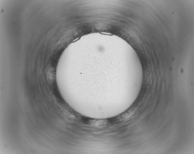 X0000088580135200706151721