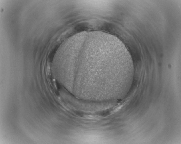 X0000088580137200706151721