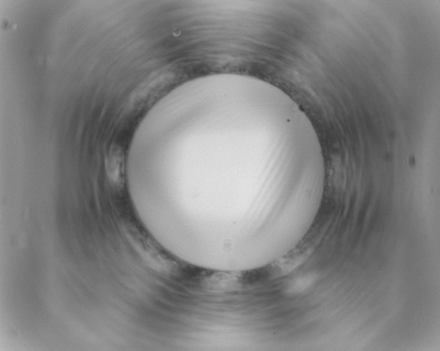 X0000088580138200706151721