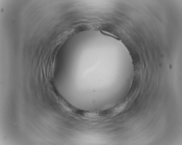 X0000088580139200706151721