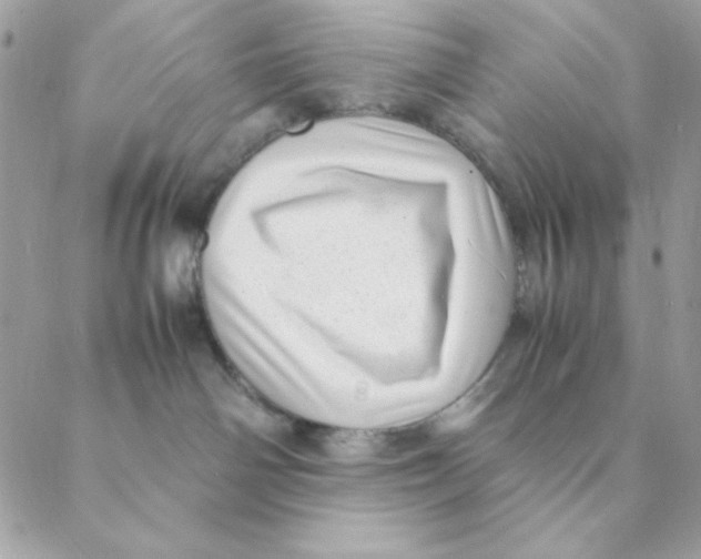 X0000088580142200706151721