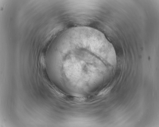 X0000088580143200706151721