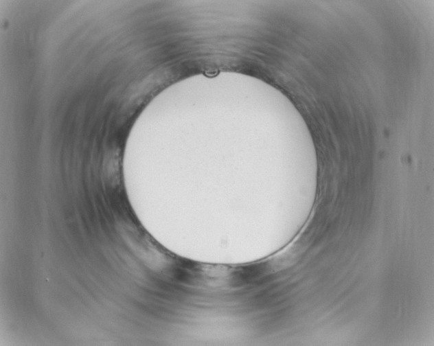 X0000088580144200706151721