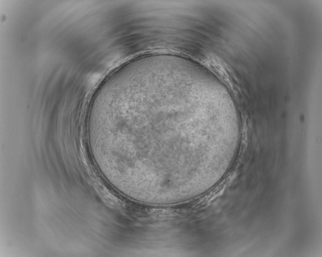 X0000088580145200706151720