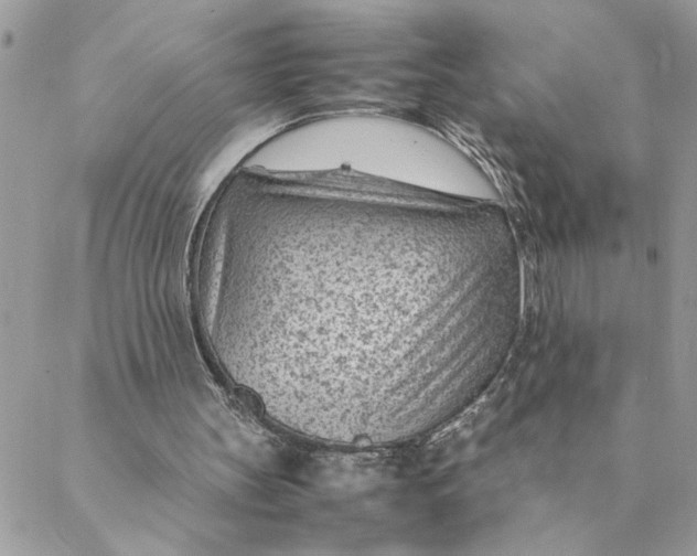 X0000088580147200706151720