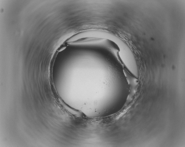 X0000088580148200706151720