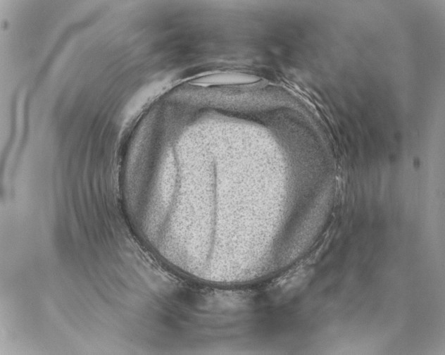 X0000088580149200706151720