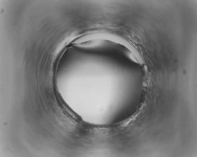 X0000088580150200706151720