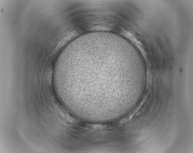 X0000088580153200706151720