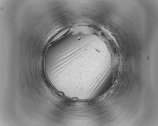 X0000088580154200706151720