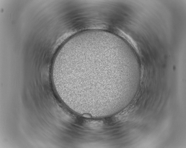 X0000088580155200706151720