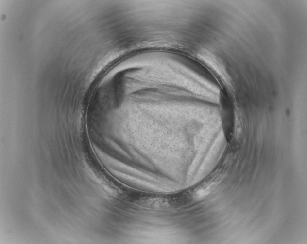 X0000088580156200706151720