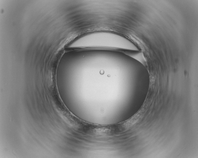 X0000088580158200706151720