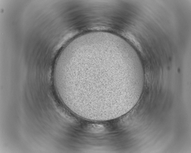 X0000088580159200706151720