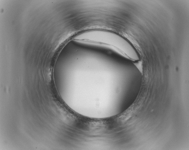 X0000088580160200706151720