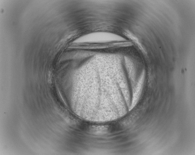 X0000088580161200706151720