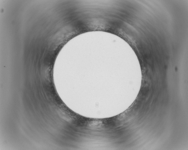 X0000088580162200706151720