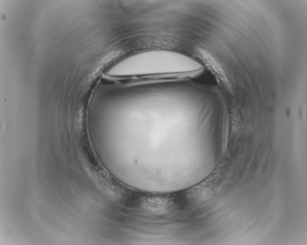 X0000088580163200706151720