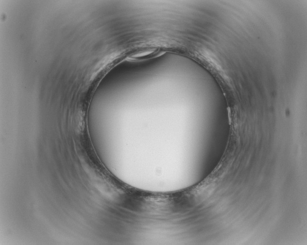 X0000088580164200706151720