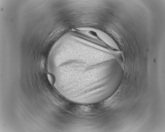 X0000088580166200706151720