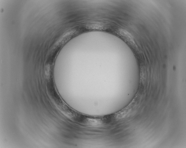 X0000088580167200706151720